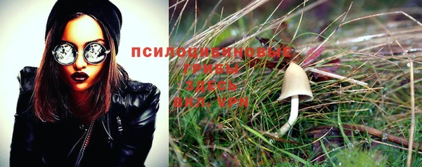 стафф Мегион