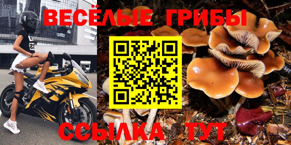 Галлюциногенные грибы GOLDEN TEACHER Карабулак