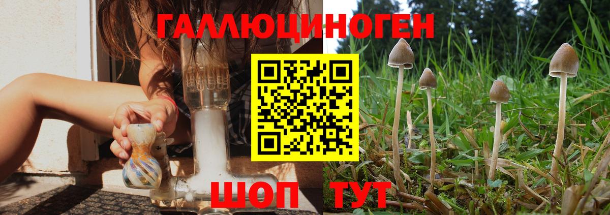 Псилоцибиновые грибы мухоморы Карабулак