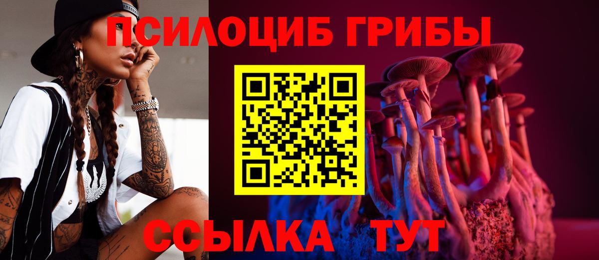 Галлюциногенные грибы Psilocybe  Вход с VPN  Карабулак 