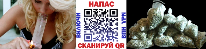 Марихуана сатива Карабулак